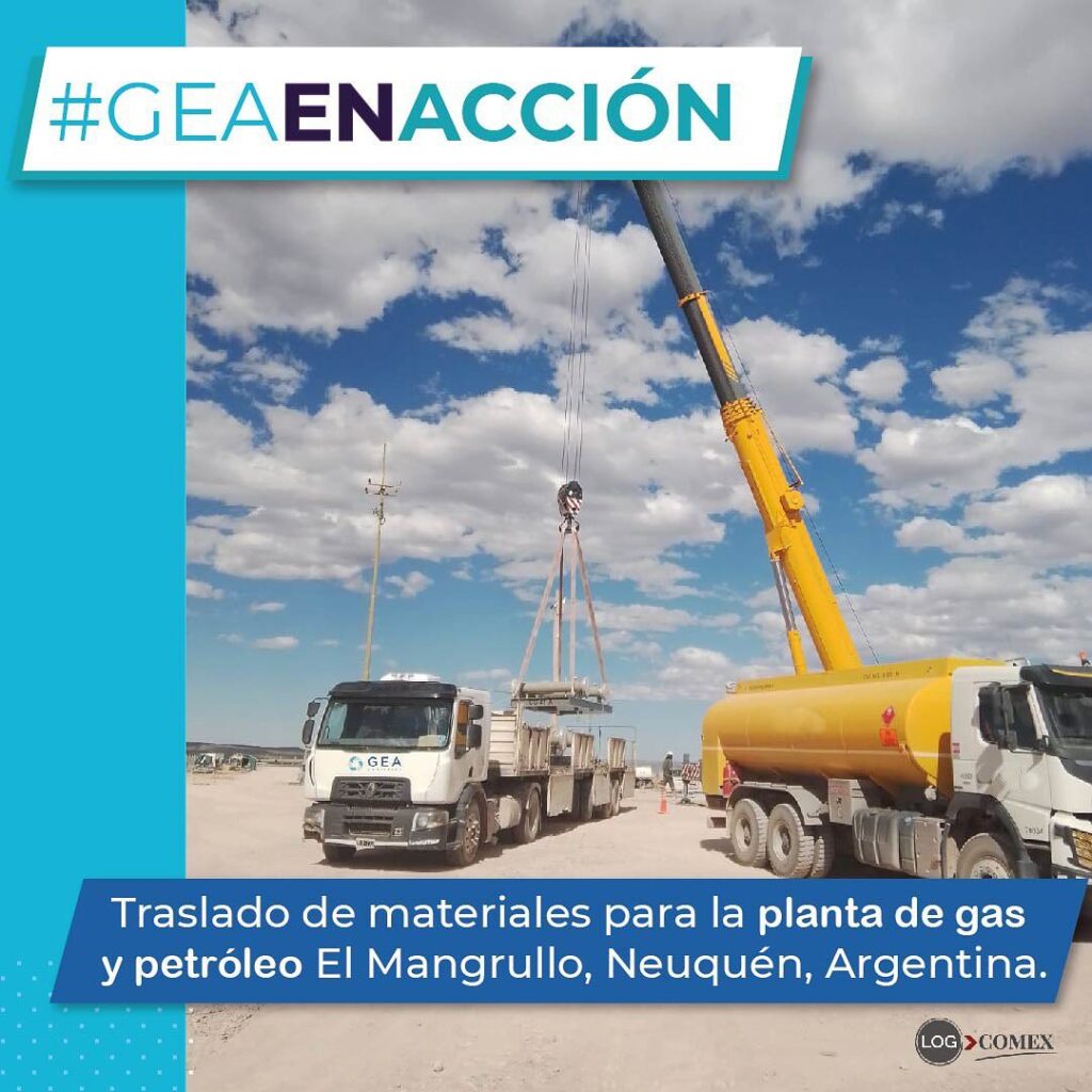 GEA-en-Acción-Mangrullo-Logística-Carga-de-Proyecto